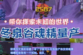 魔兽怀旧服-冬泉谷物资之魂精系列量产方法视频封面
