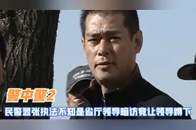 扫黑：民警嚣张执法，正遇省厅领导暗访派出所，瞬间追悔莫及视频封面