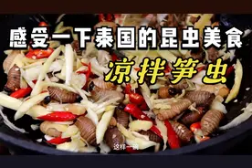 竹林里抓到的笋虫，配上青芒果丝凉拌着吃