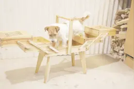 大叔拿出几块木板，折腾一下午打造出工具箱，把女儿高兴坏了视频封面