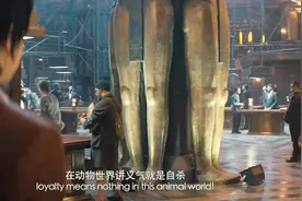 小伙拒绝与男子合作，男子气急败坏道：在动物世界讲义气就是自杀视频封面