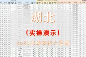 湖北2023高考：普通批平行志愿组如何填？用excel表格直接筛，视频封面