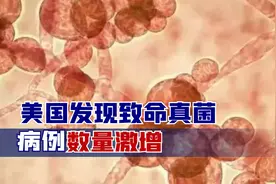出事了，美国发现致命真菌，病例数量激增，大批感染者90天内死亡视频封面