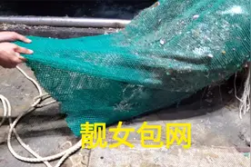 靓女包船出海捕捞，起网后看到一堆螃蟹，爆网了视频封面