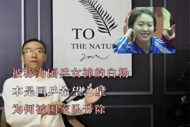 被称为国乒女神的白杨，本是国乒希望之星，为何被国家队开除视频封面