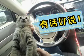 【教学篇】手把手教你如何绑架（解救）躲车底的小猫视频封面