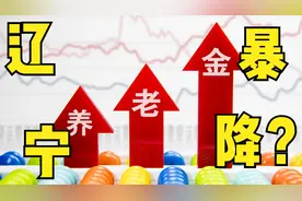 辽宁2022年养老金方案公布，定额调整部分，同比下降14元？视频封面