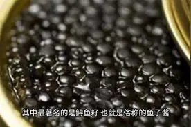 鱼籽具有丰富的营养价值和药用价值