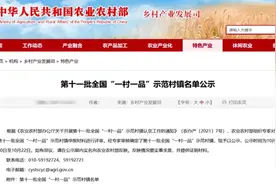 湖北18地入围全国“一村一品”示范村镇，你的家乡榜上有名吗？视频封面