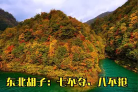 东北胡子：七不夺、八不抢视频封面