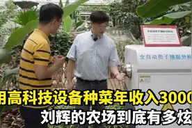 用高科技设备种菜年收入3000万，刘辉的农场到底有多炫酷？视频封面