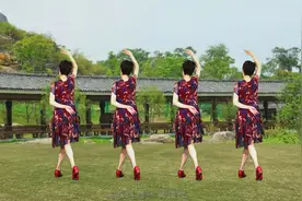 背面广场舞《伤心的酒吧》没你在身边我泪如雨下，附分解