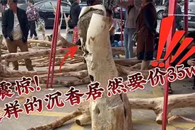 看到一根摊主号称35个W的沉香树，来看看它有什么玄机（下）视频封面