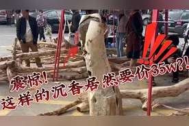 看到一根摊主号称35个W的沉香树，来看看它有什么玄机（下）视频封面