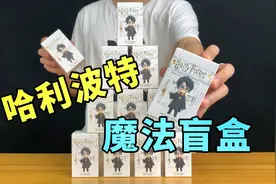 699买的哈利波特盲盒，小伙开着开着就哭了：这也太刺激了！视频封面
