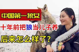 中国第一狼女李微漪：十年前把狼当“儿子”养，十年后与狼再重逢