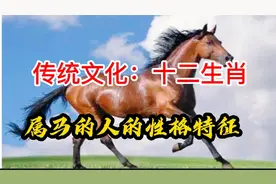 传统文化：生肖马的性格特征，看看有哪些相同和不同之处视频封面