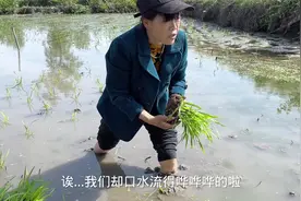 徐五姐去帮魏二姐插秧苗，纯粹就是在捣乱！视频封面
