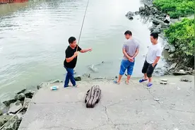 钓到鱼一定要给放回去，不然后果很严重，这玩意实在太费酒了视频封面