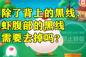 除了背上的黑线，虾腹部的黑线需要去掉吗？蚂蚁庄园今日最新答案视频封面
