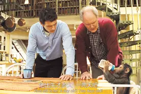 男子收养一只小猩猩，这只猩猩比同龄的小孩还聪明，给他取名凯撒视频封面