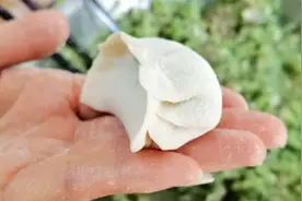 爱吃饺子的要收藏，2种包饺子手法和技巧详解，简单好看，不破肚视频封面