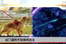 5月新规来了！出门遛狗必须拴绳，骗保将被重罚等视频封面