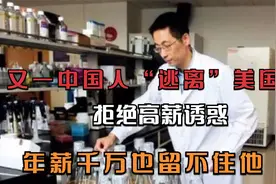 又一中国人“逃离”美国，拒绝高薪诱惑，年薪千万也留不住他视频封面