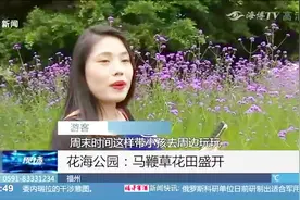 福州花海公园：马鞭草花田正盛开，成了网红“打卡”新地标！视频封面
