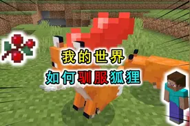 我的世界：狐狸无法被驯服？老玩家轻松做到，驯服后不再吃肉
