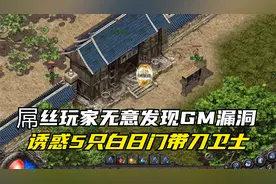 热血传奇：屌丝玩家无意发现GM漏洞 诱惑5只白日门带刀卫士