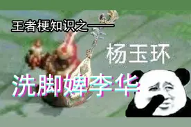 奈奈：王者梗知识——洗脚婢李华！视频封面