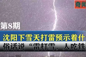 沈阳惊现“雷打雪”现象，巨大雷声惊醒众人，雷打雪真是凶兆吗？视频封面