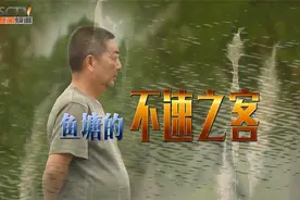 鱼塘主为制止垂钓者钓鱼，折断对方4根鱼竿，冲突升级酿出悲剧视频封面