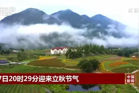 7日20时29分迎来立秋节气