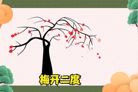冷瓜的成语典故第一集梅开二度视频封面