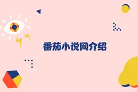 两分钟带你认识番茄小说网视频封面