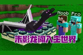 我的世界：末影龙意外闯入主世界 阿呆又一次挺身而出！