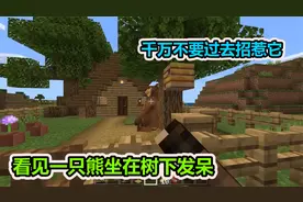 MC我的世界：千万不要招惹一头熊，不然会让你后悔