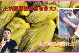 土坑酸菜和标准化生产的酸菜，区别在哪里？它的危害到底有多大？视频封面