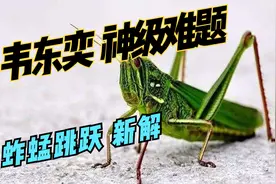 数学民工挑战“韦东奕” IMO神级难题“蚱蜢跳跃”视频封面