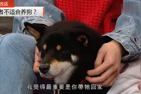 属龙者不能养狗？什么样面相的宠物才旺主人？视频封面