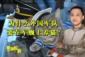 外国军舰上为什么要养猫？中国军舰上有吗？