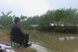 寒江孤影江湖故人，相逢何必曾相识，钓鱼最怕的事情，还是发生了视频封面