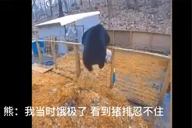 孽畜 离我老婆远点！视频封面