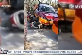 教练车失控冲上绿化带，遭受连串撞击，现场一片狼藉|今日最新闻视频封面