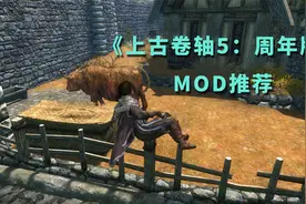 《上古卷轴5：周年版》新MOD推荐与常用MOD更新说明