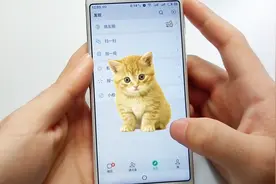 手机设置一只猫，有人动你微信，猫就出来喵喵叫，操作只需三步视频封面