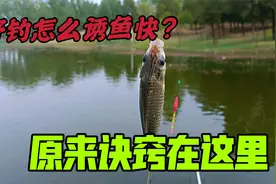 野钓怎么诱鱼效率高？原来诀窍在这里，2种方法换着用，厉害了！视频封面