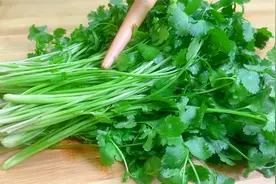 把香菜放入开水中烫一烫，瞬间变美食，这做法还是第一次，太香了视频封面